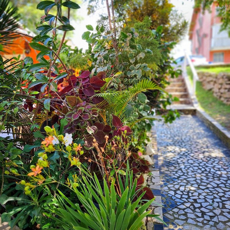 Estada Inesquecível 42 Guarapari